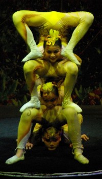 Chinesische Akrobaten im Zirkus.