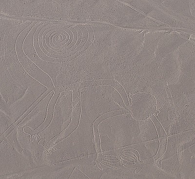 Nazca-Linien: Monkey (Affe).
