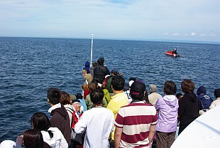 Touristen auf Boot.