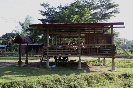 Offener Unterricht in einer Schule in Laos.