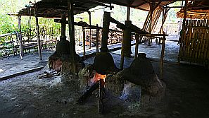 Arrak wird aus Palmsaft destilliert und gilt als eine der ältesten Spirituosen der Welt. Leider schmeckt er auch danach.