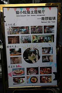 Hätte ich in diesem Cat-Theme-Restaurant tatsächlich Katzen bestellt, dann wären sie vermutlich sauer geworden, vielleicht aber auch süß-sauer.
