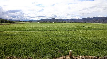 Tibet wies erstaunlich viele unwahrscheinlich flache und breite Täler auf, die teilweise landwirtschaftlich genutzt wurden. Man darf dabei nicht vergessen, dass wir uns hier auf knapp 4000 m Höhe befanden und die Berge am Rand bis 6000 m hoch sind.