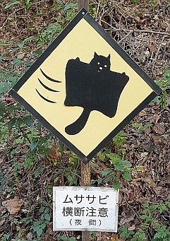 In Japan gibt es sogar ein Straßenschild, das vor Flughörnchen warnt.
