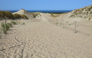 Diese Düne wäre mit 10 m pro Jahr über uns hinweg gerast, wenn es sich nicht aufgrund der Bepflanzung um eine tote Düne, also eine, die nicht mehr wandert, gehandelt hätte.